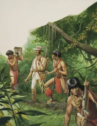 Henry Bates, Explorer of the Amazon Basin