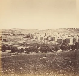 Panoramic View of the City