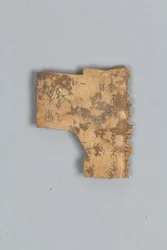 Fragment of Divining Bone (shell)