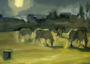 Winter Horses, 2024