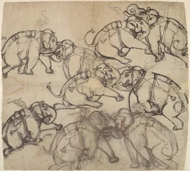 Five Views of an Elephant Combat