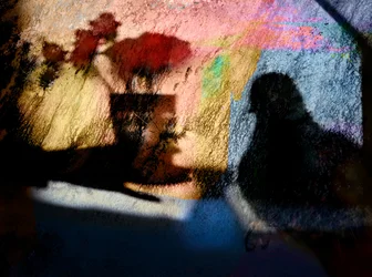 Colorful Bird Shadows