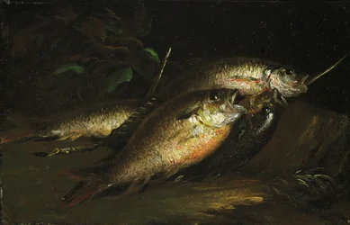 Fish, 1842