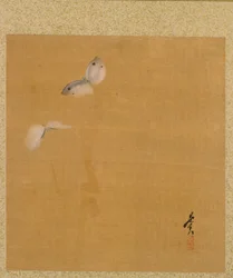 Moths from Album of Paintings by the Venerable Zeshin