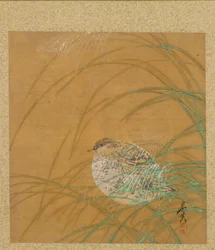 Quail in Grass from Album of Painting