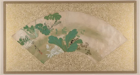 Various Plants and Grass