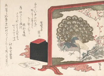 Screen and Lady
