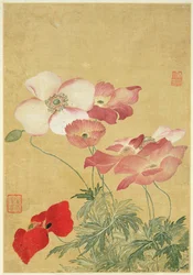 Image from Album of Flower Paintings