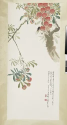 Lychees and cicada