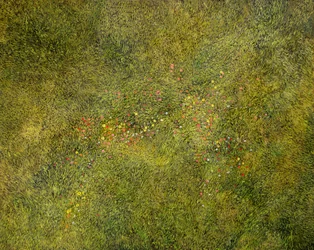 Meadow Flight