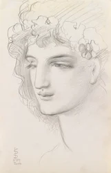 Study of a Garlanded Head