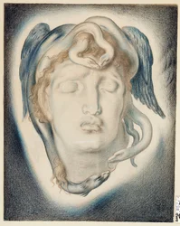 The Head of Medusa, 1884