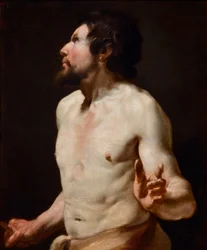 Study of Torso from the School of Simon Vouet