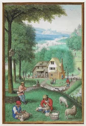 Calendar Miniature for June Showing Two Men Shearing Sheep, with a Cottage in the Background
