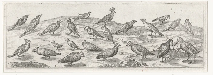 Landscape with Various Birds