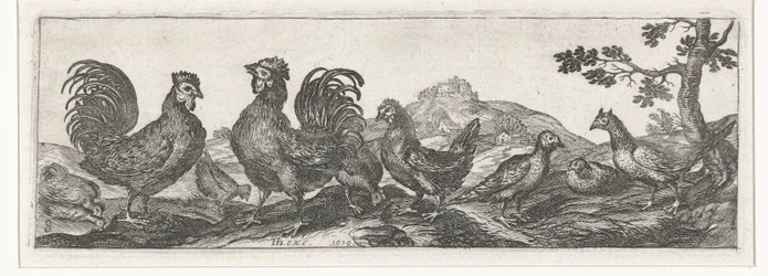 Poultry (Birds and Insects series)