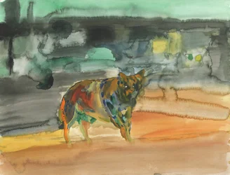 City Coyote, 2019