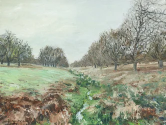Richmond Park