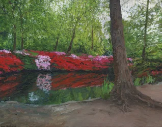 Still Pond, Richmond Park, 2013
