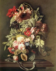 Still Life