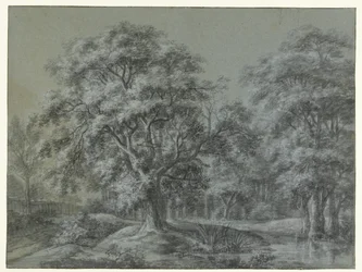 Forest Landscape with Water