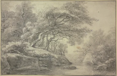 Stream at the edge of the forest