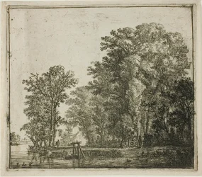Woods Near a Canal