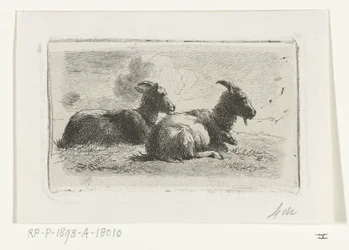 Two Lying Goats