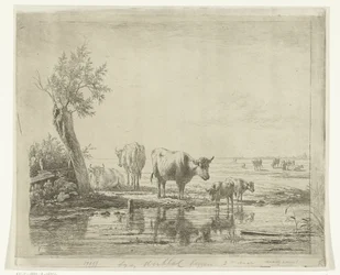 Pastoral Landscape with Cows by Water