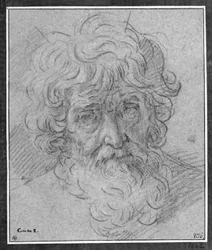 Head of an Old Man