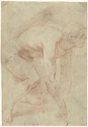 Nude Study of a Kneeling Man