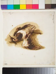 The Dead Lapwing
