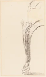 Study of a Chair Leg