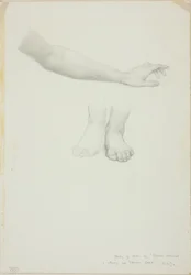 Arm and Feet, study for Mirror of Venus