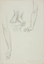 Study for Mirror of Venus: Arms and Feet of Venus