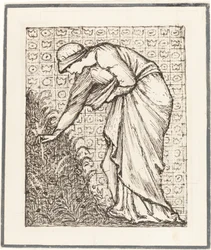 Lady Picking Flowers