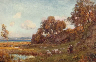 Sheltered Pastures