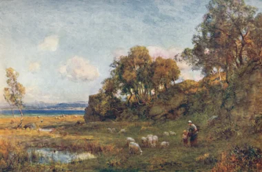 Sheltered Pastures