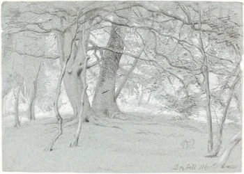 Trees at Box Hill