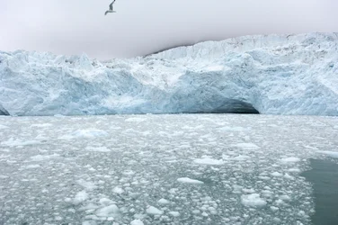 Ice chunks from nearby glaciers float in the Arctic sea, Svalbard Islands, Norway