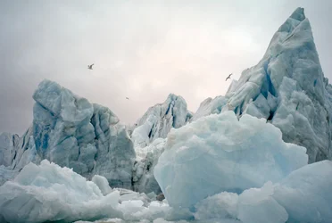 Icebergs in the Arctic sea around Spitsbergen Island, Norway