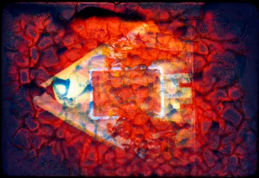 The Space Between, 2022