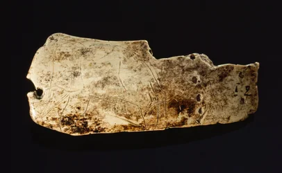 The image of a mammoth carved on a prehistoric mammoth ivory