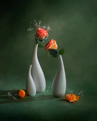 Orange Roses Still Life