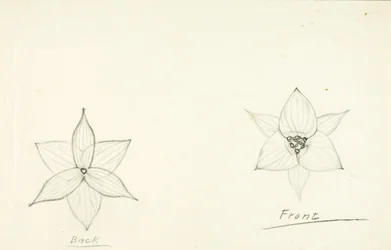 Framework of the Flower