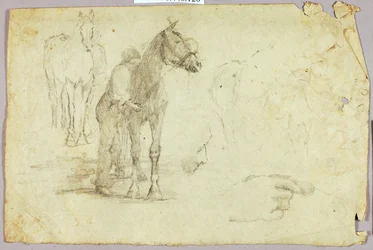 Horse and Rider