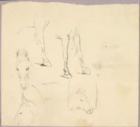 Horses