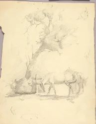 Horses and Tree