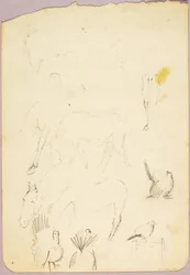 Horses and Turkeys