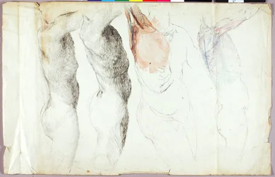 Nude Studies